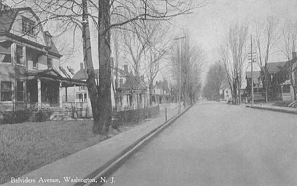 #7: belvidere ave, looking north