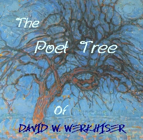 the poet tree of david w werkhiser, front